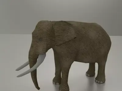 Elephant with long tusks Low-poly 3D model