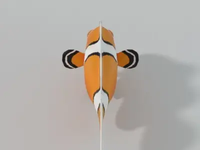 Clownfish orange clown fish Low-poly 3D model