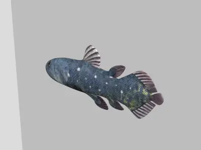 Coelacanth Fish Low-poly 3D model