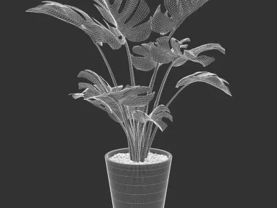  Monstera Deliciosa Plant Potted Plant Model 