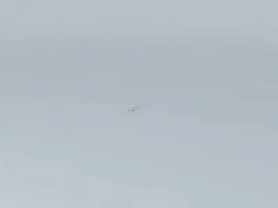 United Airlines Flight 288 and CargoLux Flight 9330F Free 3D model