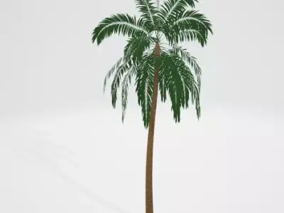 coconut-tree palm tree Free 3D model