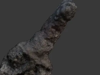 Termite Mound 3D Scan Low-poly 3D model
