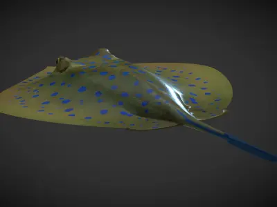Ray fish Low-poly 3D model