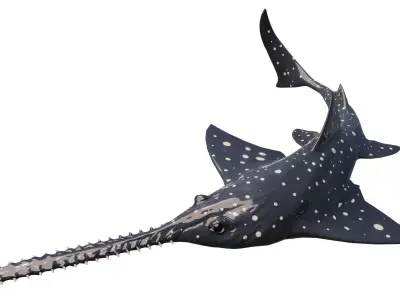 Onchopristis Asset Pack Low-poly 3D model