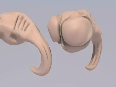 Human Puppa 3D model