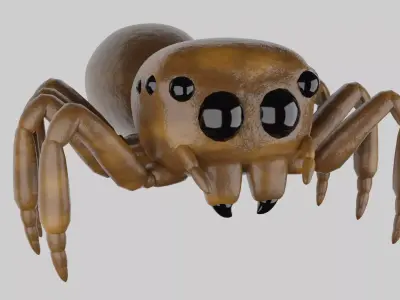 Salticidae spider 3D model