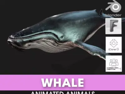 Whale-Animated 3D model