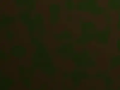 Camouflage Pack Texture