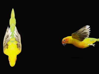 Golden Conure Parrot Bird Low-poly 3D model
