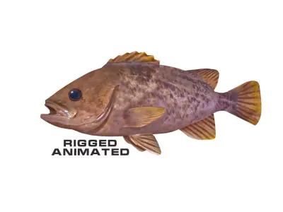 Low-Poly Kelp Rockfish Animated Low-poly 3D model