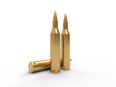 17 Remington Ammo Low-poly 3D model