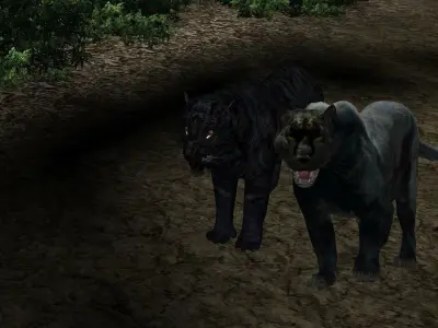 Black Tiger 3D model