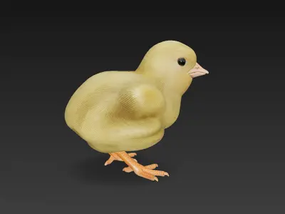 Chick Baby 3D Model Basic - Low Poly Simple Low-poly 3D model