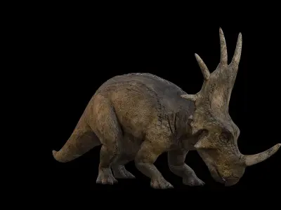 Styracosaurus - Styraco Dinosaur Low-poly 3D model