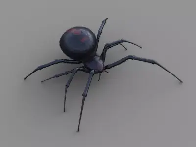 Black Widow rigged animated 3d spider 3D model