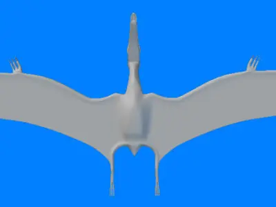 Pteranodon dinosaur flying 3D model