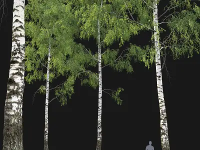 Birch forest part 04 3D model