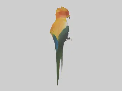 Bird of Paradise Model Low-poly 3D model