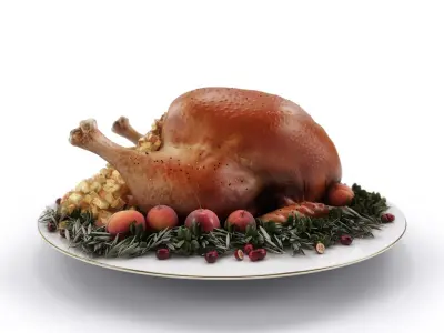 Thanksgiving Turkey HQ 3D model