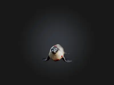 Realistic Wounded Seal Model Low-poly 3D model