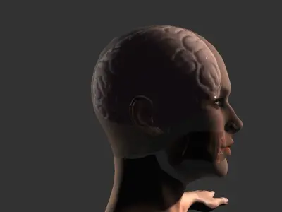 Brain model human Low-poly 3D model