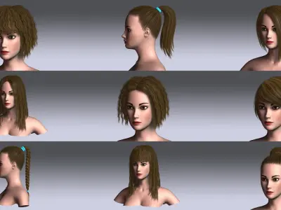 Polygon Hair Collection 4 3D model