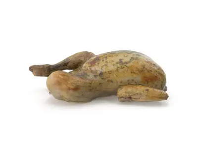 Cooked Chicken seasoned with sage - 4K textures 3D model