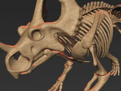 Styracosaurus skeleton 3D model