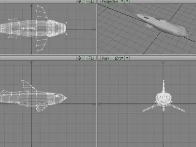 Shark - Bullshark 3D model