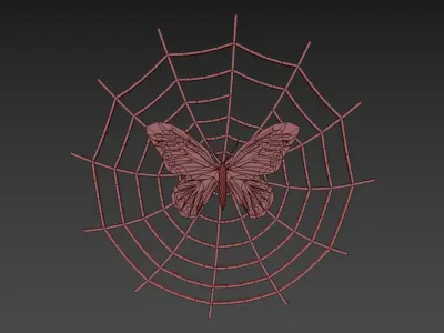 butterfly Poly color free Free 3D model