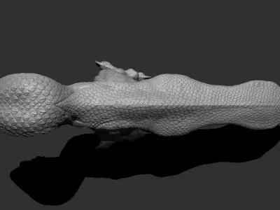 Galinideos 2021 Low-poly 3D model