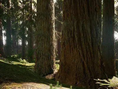 Redwood forest for game ready Low-poly 3D model