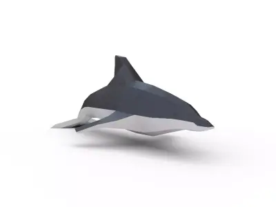 Dolphin Low poly Low-poly 3D model