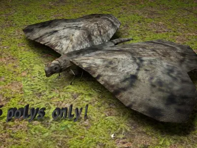 Night Butterfly Animated Low-poly 3D model