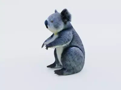 Koala Free 3D model purchase