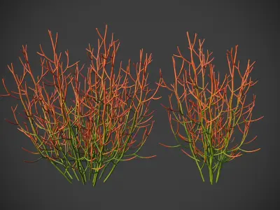 XfrogPlants Sticks on Fire - Euphoriba Tirucalli 3D model