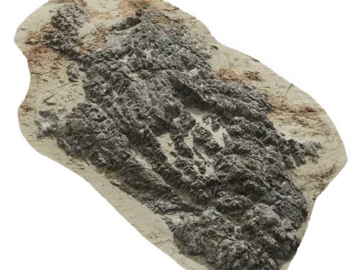  Large Rough Beach Rock Model 