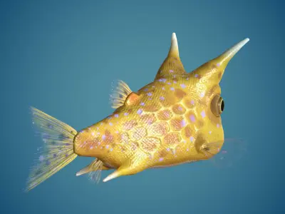 Fish Lactoria cornuta Lowpoly  Low-poly 3D model