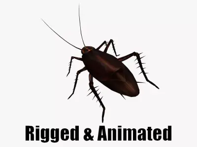animated cockroach Low-poly 3D model