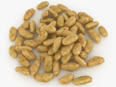 Potato Pile 3D model
