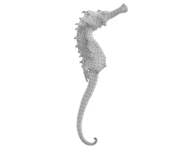 hippocampus japonicus Low-poly 3D model