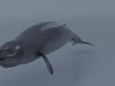 Basilosaurus  Low-poly 3D model