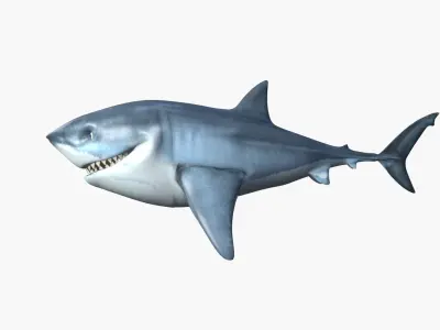 Bruce The Shark Low-poly 3D model