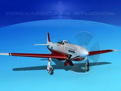 P-51 Mustang Sport V06 3D model