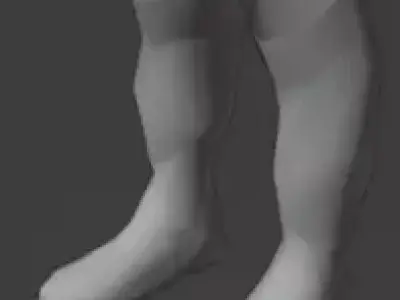 SAPOGIS 3D model