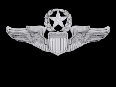 USAAF Command Pilot Wings Badge 3D model