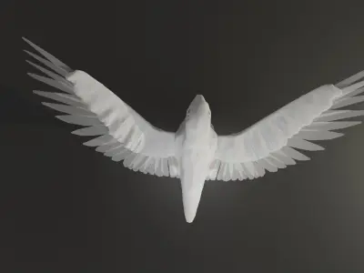 Pigeon 3d model blender Free 3D model