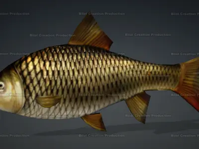 FISH ANIMATED Low-poly 3D model