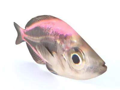 Crystal Catfish Low-poly 3D model